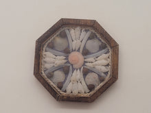 Load image into Gallery viewer, 1&quot; Sailor&#39;s Valentine - Grey Tellin Shells with Pink Snail Shell in Center – by Pam Friend
