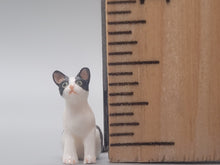 Load image into Gallery viewer, Resin Tuxedo Kitten Sitting
