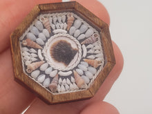 Load image into Gallery viewer, 1&quot; Sailor&#39;s Valentine with Assorted Shells Surrounding Brown Clam Shell – by Pam Friend
