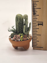 Load image into Gallery viewer, Dollhouse Miniature ~ 1:12 Scale, IGMA Artist Era Pearce Cactus &amp; Succulents in Pot
