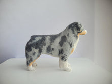 Load image into Gallery viewer, Australian Shepherd Dog - Karl Blindheim

