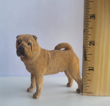 Load image into Gallery viewer, Shar Pei Dog - By Karl Blindheim
