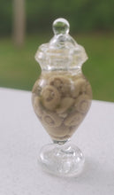Load image into Gallery viewer, Mushrooms in Glass Jar
