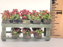 Load image into Gallery viewer, 2 Tier Plant Stand
