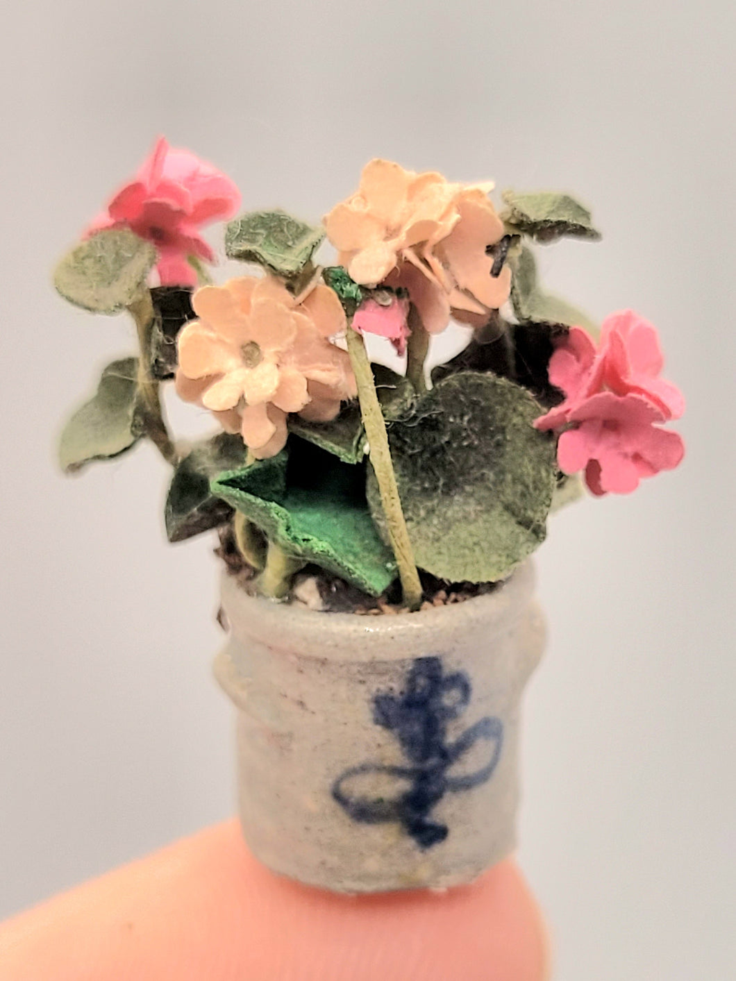 Multi-Colored Flowers in Pot