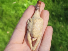 Load image into Gallery viewer, Slaughtered Goose
