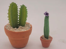 Load image into Gallery viewer, Dollhouse Miniature ~ 1:12 Scale, 2pc Cactus Set in Pots
