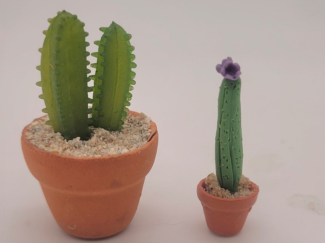 Dollhouse Miniature ~ 1:12 Scale, 2pc Cactus Set in Pots