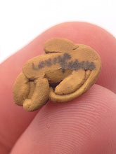Load image into Gallery viewer, Dollhouse Miniature ~ 1:24 Scale, Orange Tabby Cat, Signed Bottom LP
