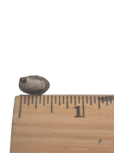 Load image into Gallery viewer, Ginger – Handsculpted Ceramic Duck Handpainted
