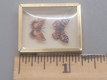 Load image into Gallery viewer, Jeanne Abel Butterflies in Gold Frame
