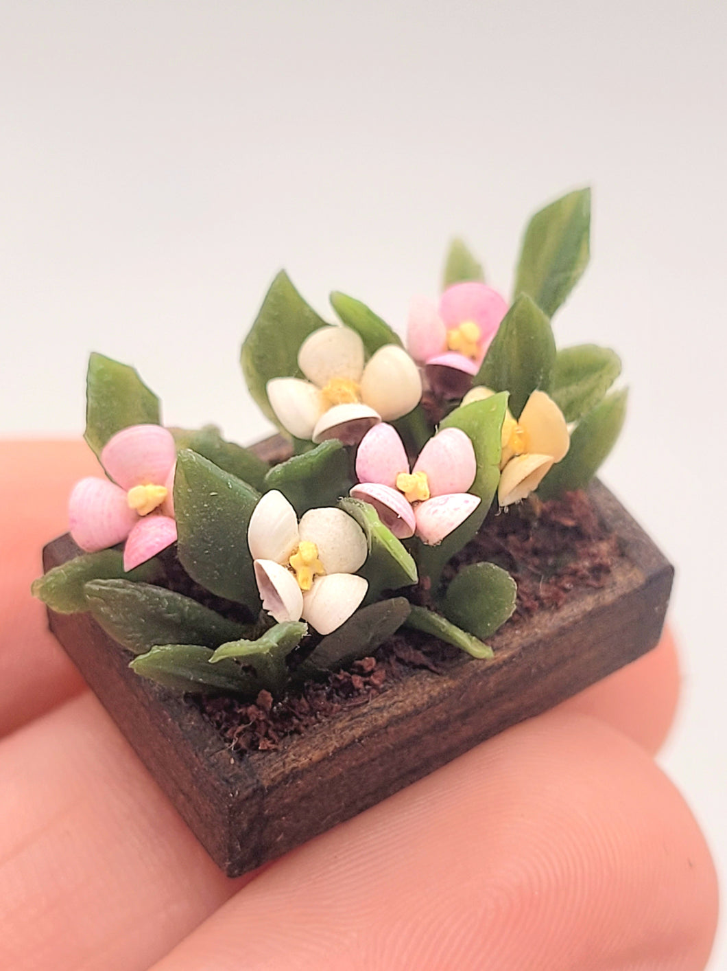 Flowers in Rectangular Planter