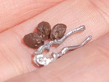 Load image into Gallery viewer, Nuts and Sterling Silver Cracker by Don Henny

