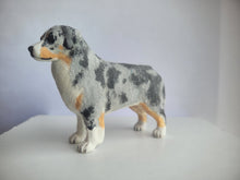 Load image into Gallery viewer, Australian Shepherd Dog - Karl Blindheim
