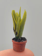 Load image into Gallery viewer, Dollhouse Miniature ~ 1/2&quot; Scale, Snake Plant in Terracotta Pot
