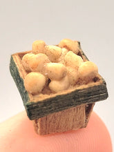 Load image into Gallery viewer, Mushrooms in Little Container
