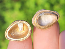 Load image into Gallery viewer, Jeweled Egg
