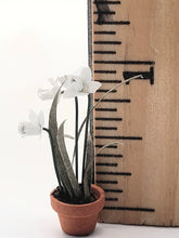 Load image into Gallery viewer, Dollhouse Miniature ~ 1:24 Scale, White Orchid in Terracotta Pot
