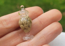 Load image into Gallery viewer, Mushrooms in Glass Jar
