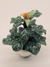 Load image into Gallery viewer, Dollhouse Miniature ~ 1:24 Scale, Zebra Plant in White Pot
