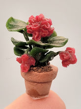 Load image into Gallery viewer, Red Flowers in Pot
