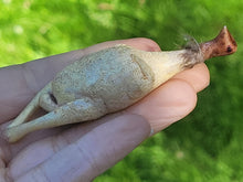 Load image into Gallery viewer, Slaughtered Goose
