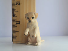 Load image into Gallery viewer, Yellow Lab Puppy Sitting – By Karl Blindheim
