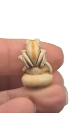 Load image into Gallery viewer, Zadar – Unpainted Frog Figurine
