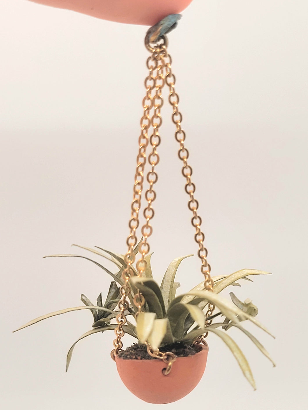 Spider Plant in Hanging Terracotta Pot
