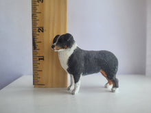 Load image into Gallery viewer, Australian Shepherd Tri-Color – by Karl Blindheim
