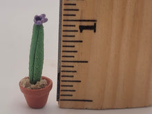 Load image into Gallery viewer, Dollhouse Miniature ~ 1:12 Scale, 2pc Cactus Set in Pots
