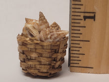 Load image into Gallery viewer, Real Seashells in Woven Basket
