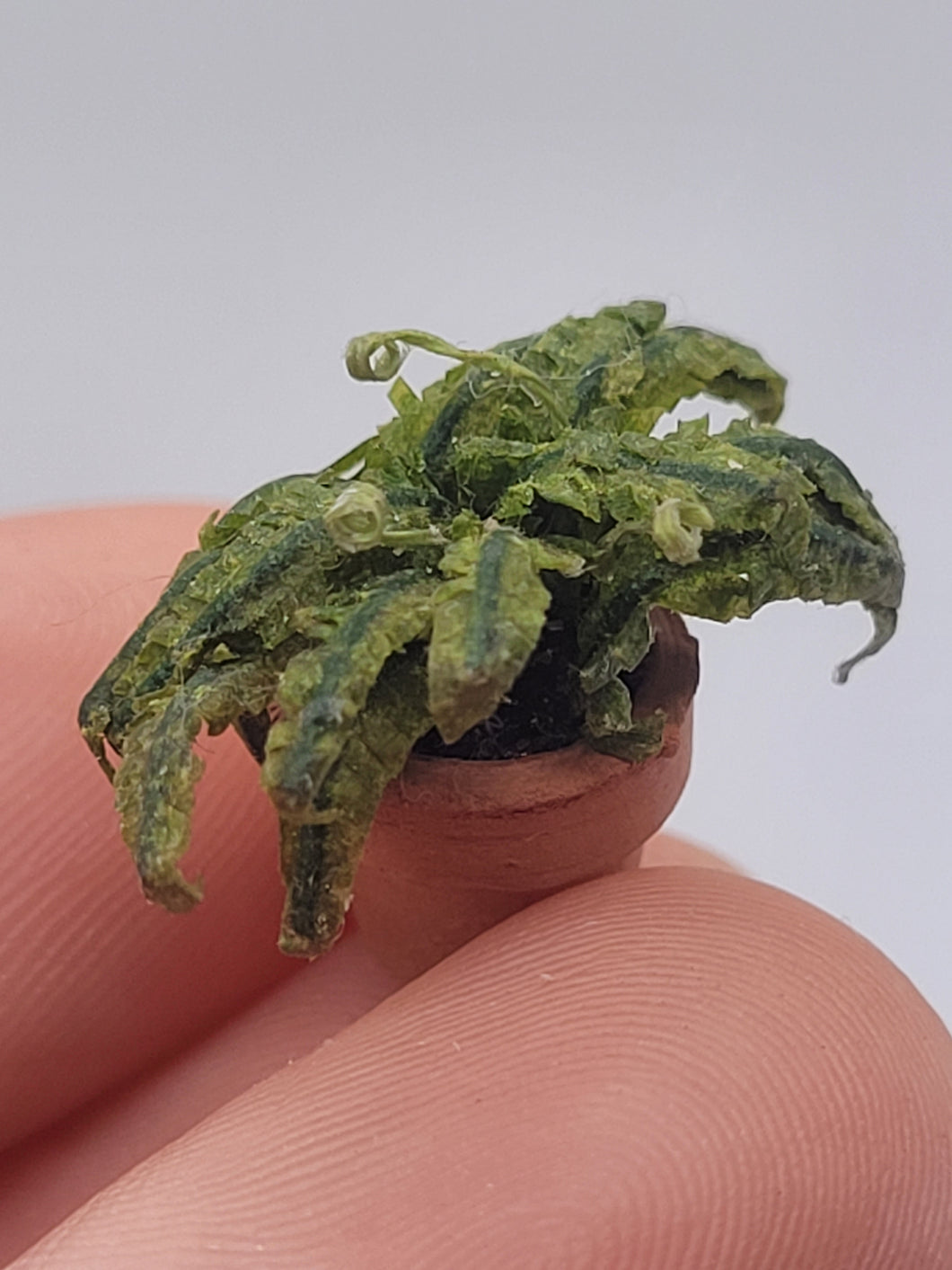 Dollhouse Miniature ~ 1/2