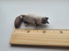 Load image into Gallery viewer, Himalayan Cat Laying on Side – by Karl Blindheim
