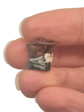 Load image into Gallery viewer, Janice Crawley – Porcelain Toby Mug Pirate
