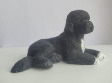 Load image into Gallery viewer, Portuguese Water Dog - by Karl Blindheim

