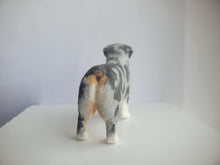 Load image into Gallery viewer, Australian Shepherd Dog - Karl Blindheim
