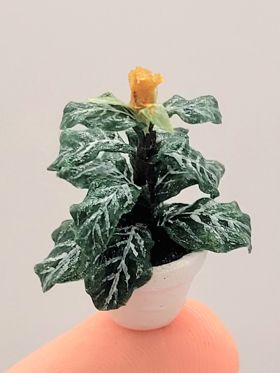 Dollhouse Miniature ~ 1:24 Scale, Zebra Plant in White Pot