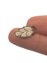 Load image into Gallery viewer, Ron Benson – Handpainted Leaf Serving Dish with Handle
