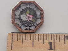 Load image into Gallery viewer, ¾&quot; Sailor&#39;s Valentine - Snail Shell &amp; Flower surrounded by Tellin Shells – by Pam Friend

