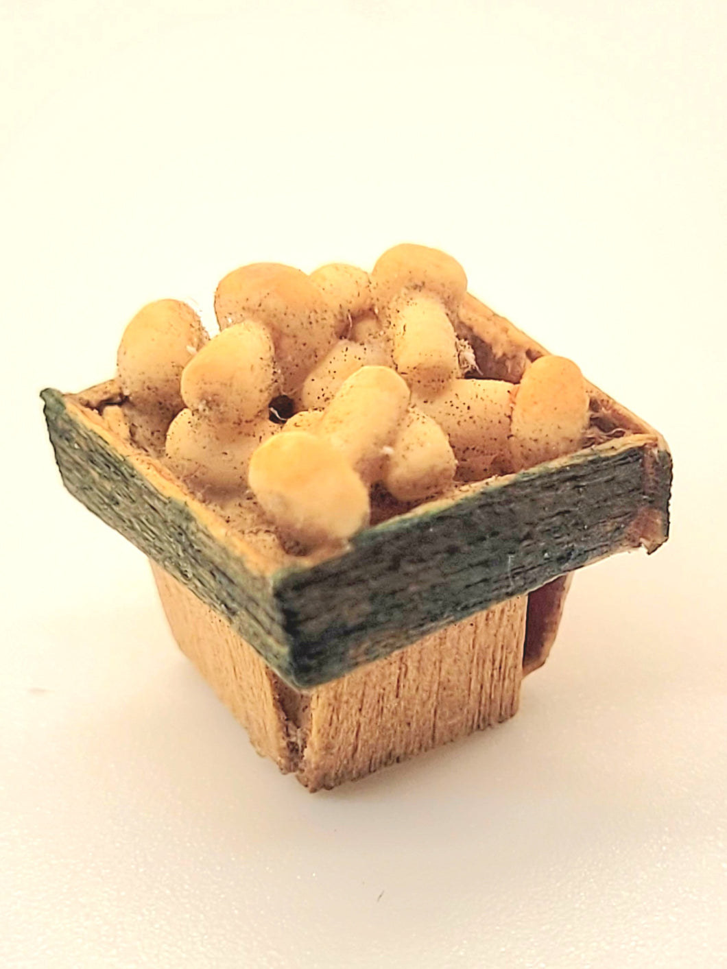 Mushrooms in Little Container
