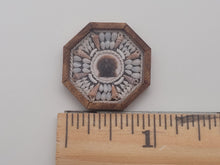 Load image into Gallery viewer, 1&quot; Sailor&#39;s Valentine with Assorted Shells Surrounding Brown Clam Shell – by Pam Friend
