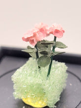 Load image into Gallery viewer, Geraniums in Styrofoam
