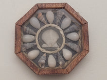 Load image into Gallery viewer, ¾&quot; Sailor&#39;s Valentine with Assorted Seashells – by Pam Friend
