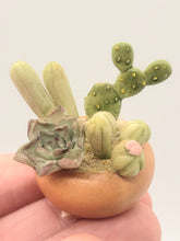 Load image into Gallery viewer, Dollhouse Miniature ~ 1:12 Scale, Wooden Shelf with Southwest Goodies
