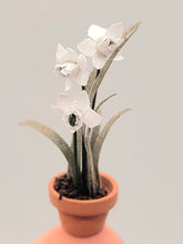 Load image into Gallery viewer, Dollhouse Miniature ~ 1:24 Scale, White Orchid in Terracotta Pot
