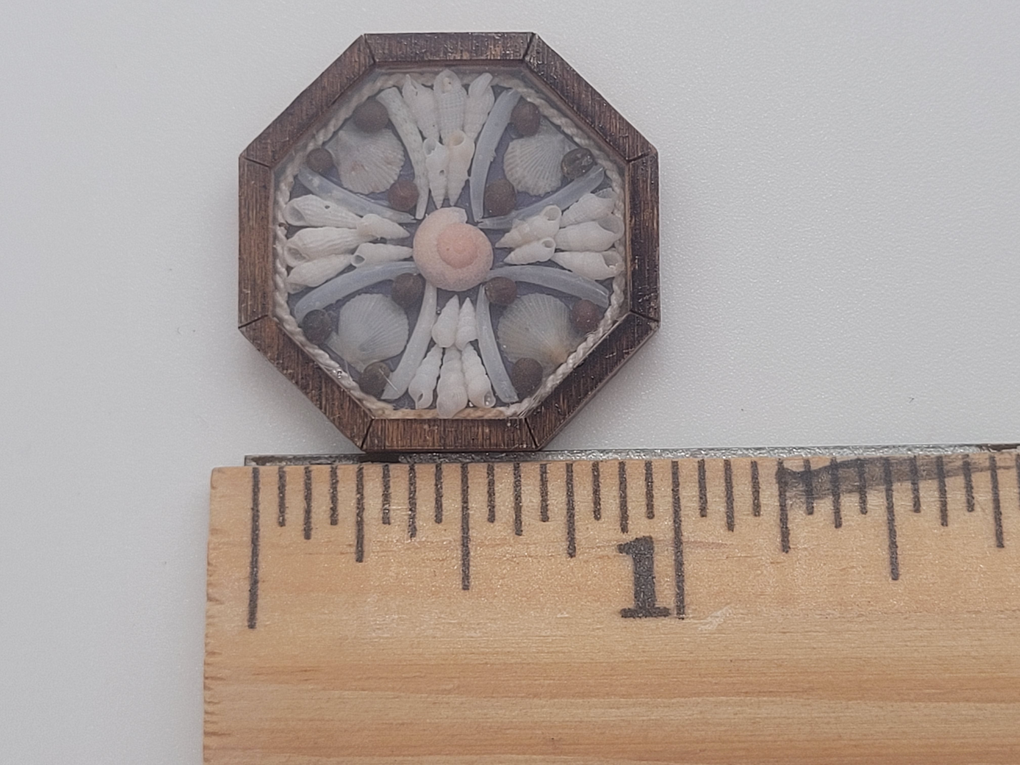 Sailor's Valentine - Grey Tellin Shells with Pink Snail Shell in Cente ...