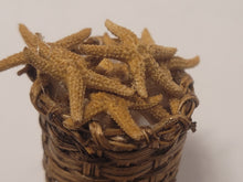 Load image into Gallery viewer, Real Starfish and Shells in Woven Basket
