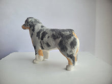 Load image into Gallery viewer, Australian Shepherd Dog - Karl Blindheim
