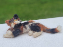 Load image into Gallery viewer, Annie Willis - Calico Furred Cat
